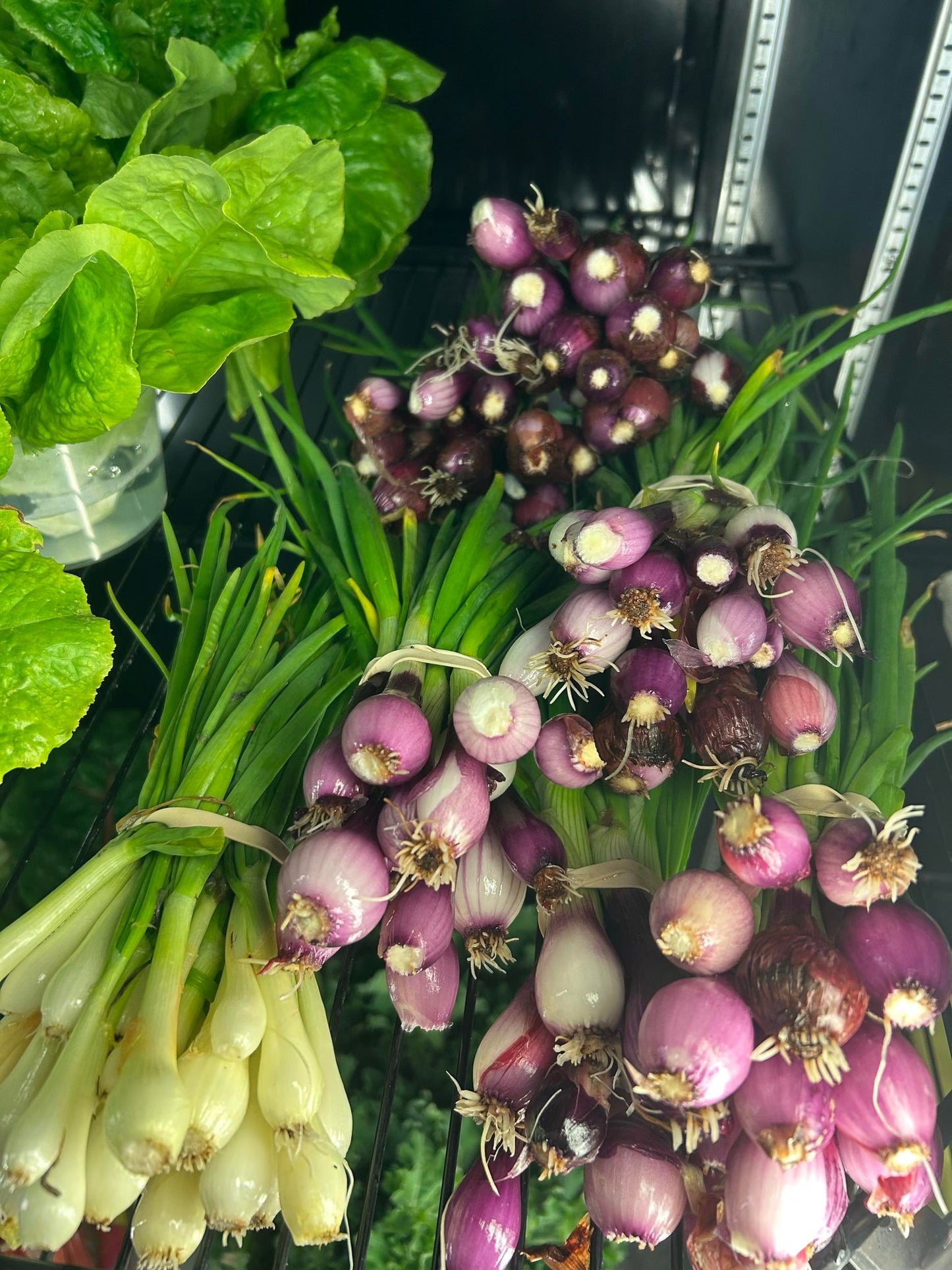 Green Onions