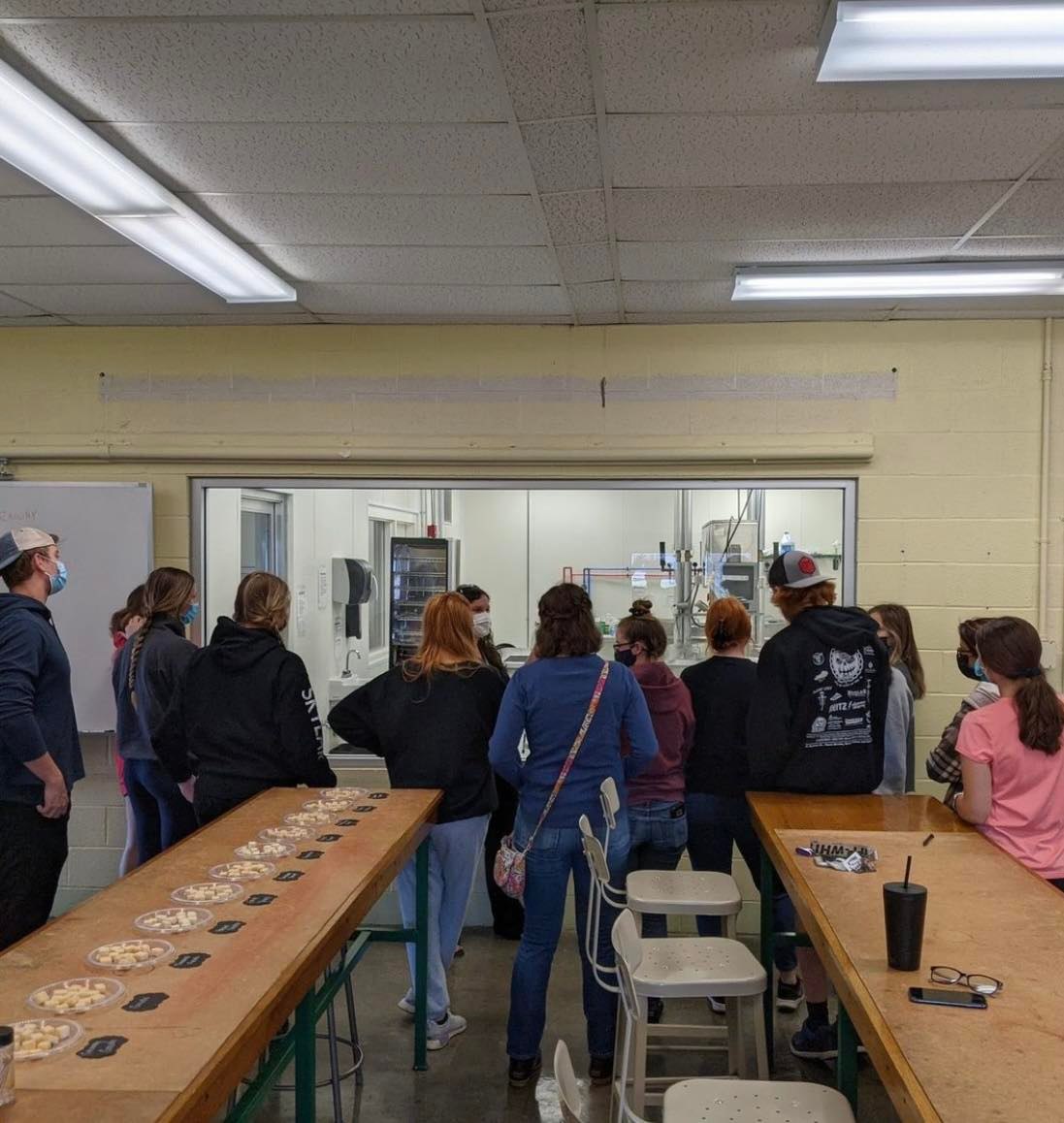 Tour & Tasting