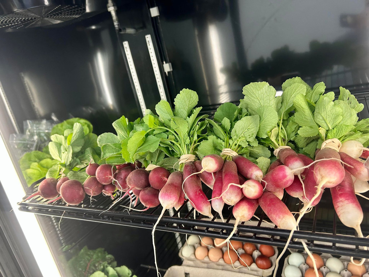 Radishes